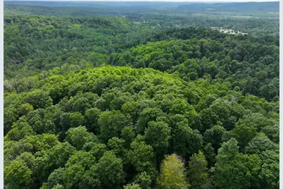 V/L 40A Lambdin Road, East Jordan, MI 49727 - Photo 9
