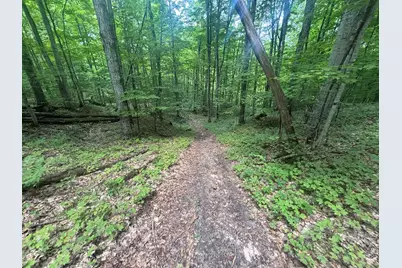 V/L 40A Lambdin Road, East Jordan, MI 49727 - Photo 21
