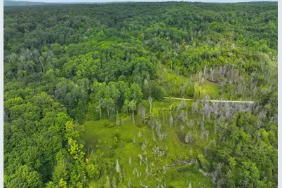 V/L 40A Lambdin Road, East Jordan, MI 49727 - Photo 35