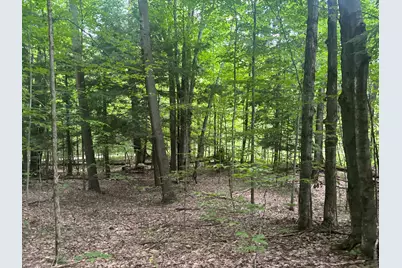 V/L 40A Lambdin Road, East Jordan, MI 49727 - Photo 53