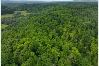 V/L 40A Lambdin Road, East Jordan, MI 49727 - Photo 11