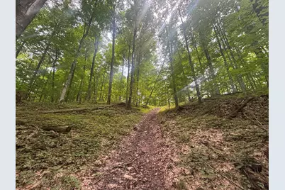 V/L 40A Lambdin Road, East Jordan, MI 49727 - Photo 23