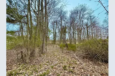 125 W Shore Woods Drive, Douglas, MI 49406 - Photo 3