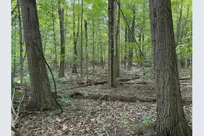 5686 19 Mile Rd Road NE, Cedar Springs, MI 49319 - Photo 9