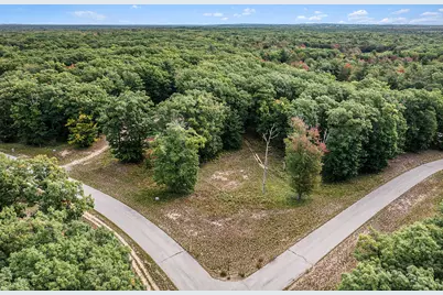 Lot 4 Pine Street, Mears, MI 49436 - Photo 3