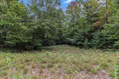 Lot 4 Pine Street, Mears, MI 49436 - Photo 13