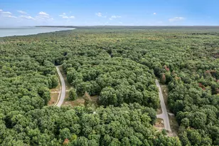 Lot 4 Pine St, Mears, MI 49436 - Photo 1