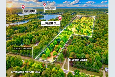00000 SE County Line Road, Mount Pleasant, MI 48858 - Photo 1