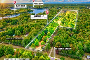 00000 SE County Line Rd, Mount Pleasant, MI 48858 - Photo 1