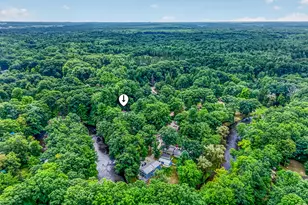 7784 E Saint Huberts Trail, Hesperia, MI 49421 - Photo 55
