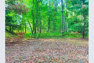 2679 S State, Chase, MI 49623 - Photo 3
