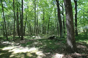 19291 Ottawa Ln, Big Rapids, MI 49307 - Photo 35