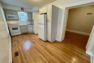 208 S Elm St, Three Oaks, MI 49128 - Photo 37
