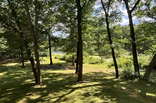 11011 Podunk Ave NE, Greenville, MI 48838 - Photo 47