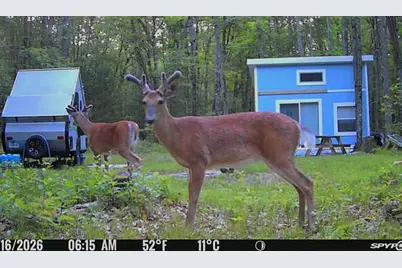 5115 W 9 1/2 Mile Road, Irons, MI 49644 - Photo 27