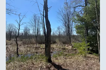 604 W Beaver Road, Bitely, MI 49309 - Photo 91