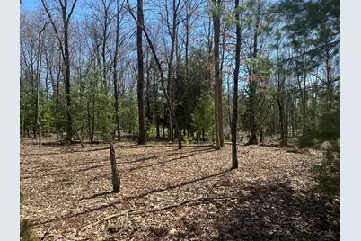 604 W Beaver Road, Bitely, MI 49309 - Photo 95