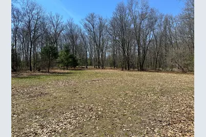 604 W Beaver Road, Bitely, MI 49309 - Photo 87