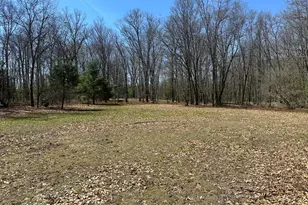 604 W Beaver Rd, Bitely, MI 49309 - Photo 87