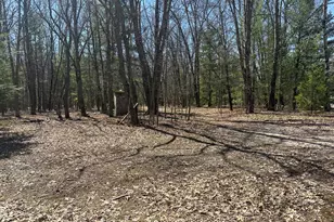 604 W Beaver Rd, Bitely, MI 49309 - Photo 105