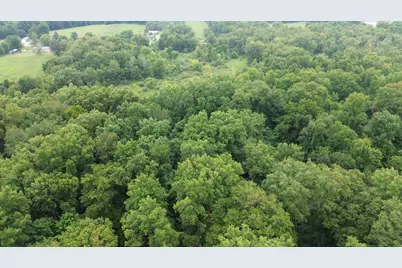 Tharp Lake Road, Cassopolis, MI 49031 - Photo 7