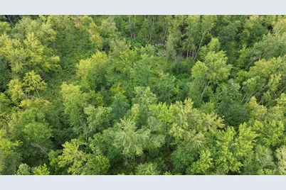 Tharp Lake Road, Cassopolis, MI 49031 - Photo 5