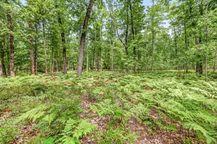 7392 N Northern Dr, Pentwater, MI 49449 - Photo 45