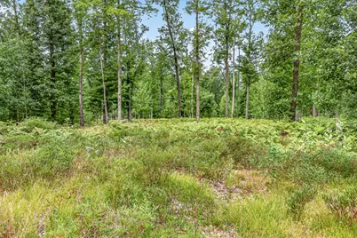 7392 N Northern Drive, Pentwater, MI 49449 - Photo 39