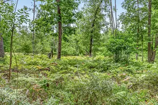 7392 N Northern Dr, Pentwater, MI 49449 - Photo 43