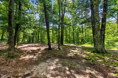 4398 Newcosta Avenue #Parcel A, B & E, Morley, MI 49336 - Photo 125