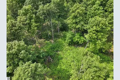 275 S 35 Road, Cadillac, MI 49601 - Photo 41