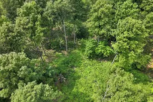 275 S 35 Rd, Cadillac, MI 49601 - Photo 41