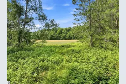 275 S 35 Road, Cadillac, MI 49601 - Photo 37