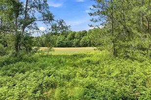 275 S 35 Rd, Cadillac, MI 49601 - Photo 37