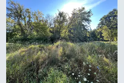 0 McKinney, Brooklyn, MI 49230 - Photo 3
