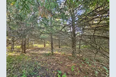 6420 Kelley Road, Brooklyn, MI 49230 - Photo 13