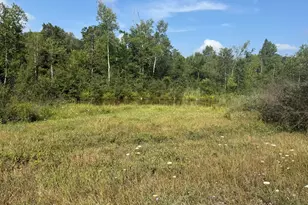17370 160th Ave, Rodney, MI 49342 - Photo 81