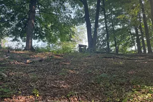 17370 160th Ave, Rodney, MI 49342 - Photo 89