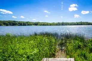 84 Thelen Dr, Gobles, MI 49055 - Photo 39