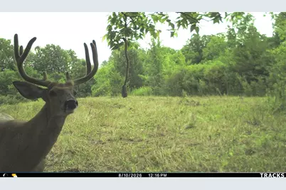Vl S Bradley Road, Charlotte, MI 48813 - Photo 37