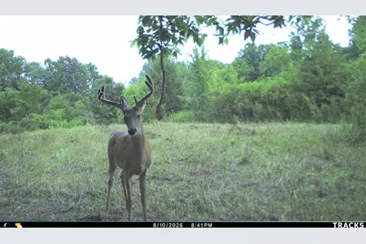 Vl S Bradley Road, Charlotte, MI 48813 - Photo 39