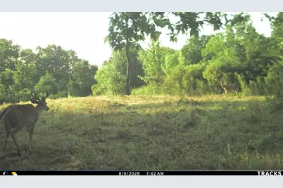 Vl S Bradley Road, Charlotte, MI 48813 - Photo 33