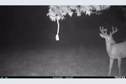 Vl S Bradley Road, Charlotte, MI 48813 - Photo 35