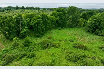 Vl S Bradley Road, Charlotte, MI 48813 - Photo 7