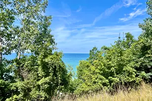 3007 Lakeshore Dr, Fennville, MI 49408 - Photo 33