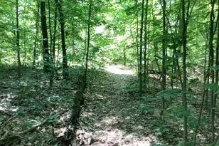 9488 S 11 Rd, Cadillac, MI 49601 - Photo 25
