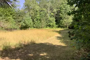 9488 S 11 Rd, Cadillac, MI 49601 - Photo 29
