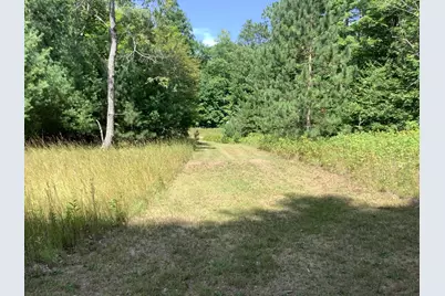 9488 S 11 Road, Cadillac, MI 49601 - Photo 3