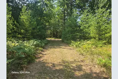 10652 N River Road, Irons, MI 49644 - Photo 3