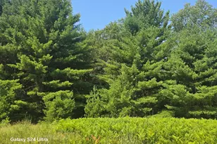 N River Rd, Irons, MI 49644 - Photo 1
